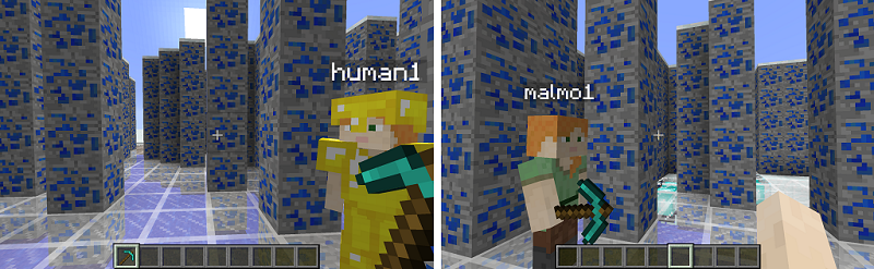 Project malmo
