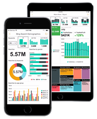 Responsive Mobile Reports Responsive Mobile Reports