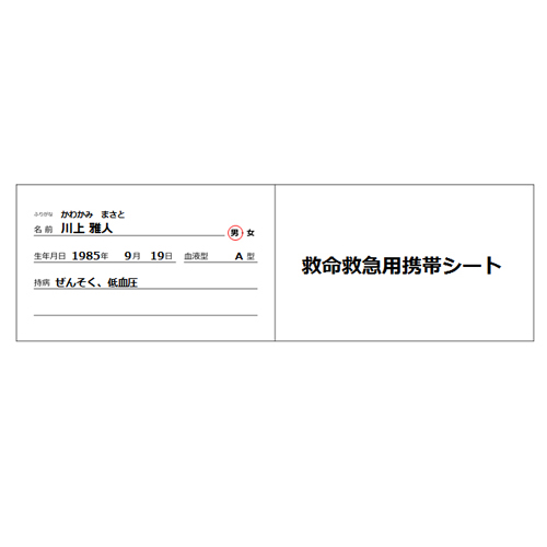 救命救急用携帯シート 画面スライド-2