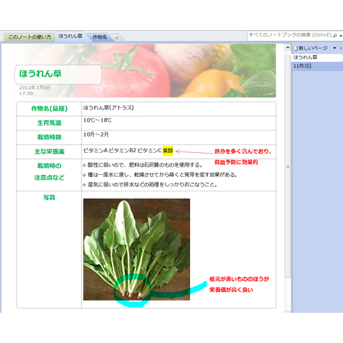 観察日記ノート 画面スライド-1
