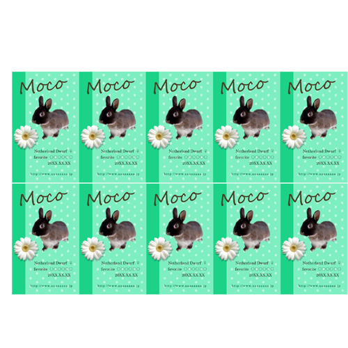 名刺 (ペット・縦) 画面スライド-1