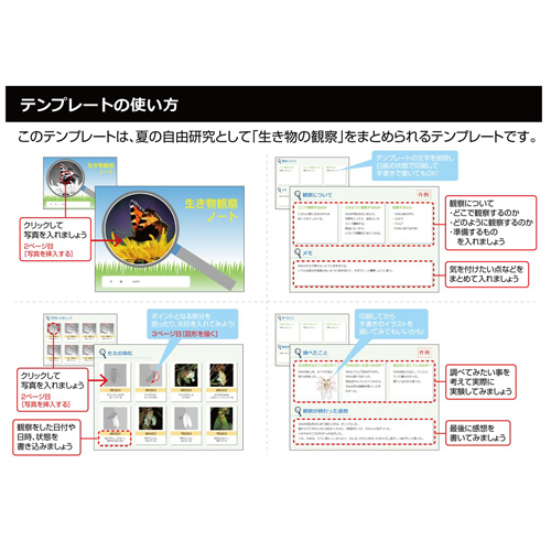 生き物観察ノート 画面スライド-4