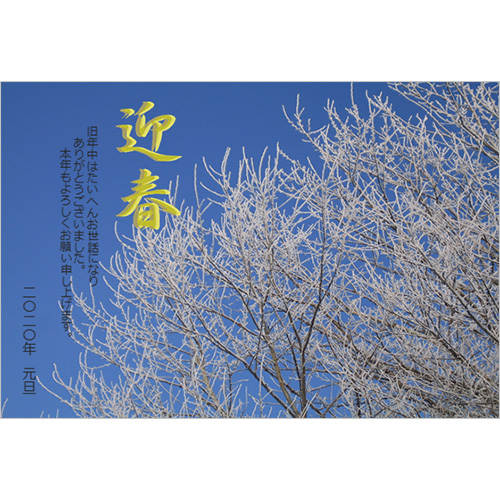 年賀状 (風景写真・雪の木) スクリーン