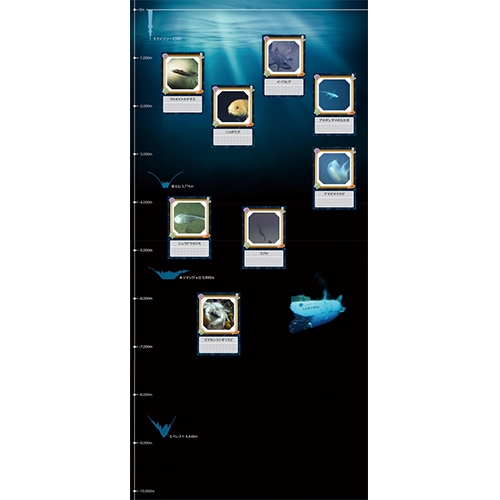深海生物図鑑 (しんかいせいぶつずかん) 画面スライド-1