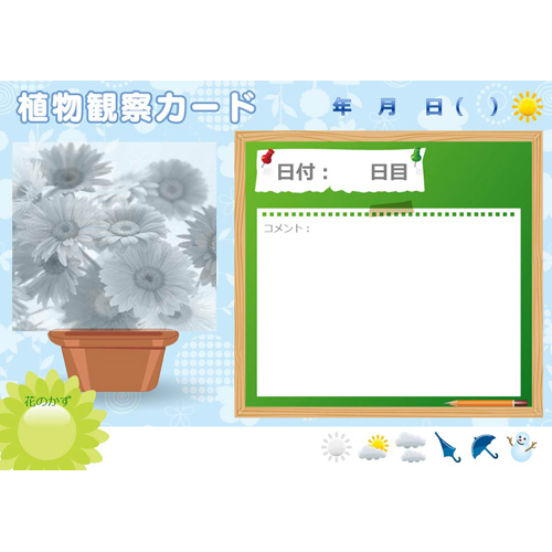 植物観察カード 画面スライド-1