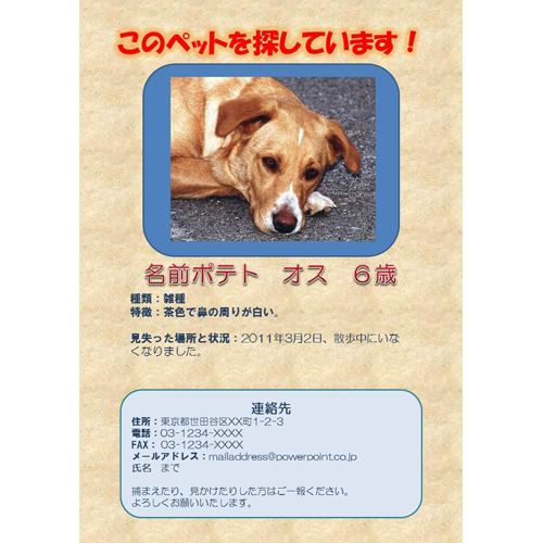 チラシ (ペット捜索) 画面スライド-1