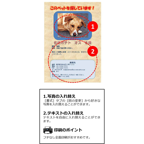 チラシ (ペット捜索) 画面スライド-2
