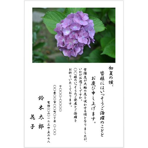 ハガキ (紫陽花) 画面スライド-2