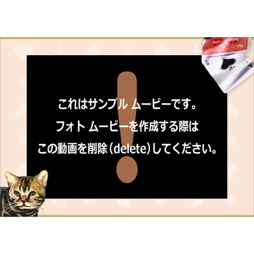 自己紹介ムービー (ミスキャン考案) 画面スライド-3