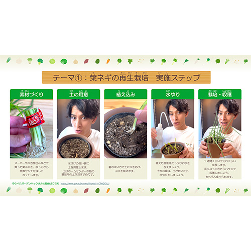 自由研究 (じゆうけんきゅう) ノート (野菜の再生栽培・観察 やさいのさいせいさいばい・かんさつ) 画面スライド-5